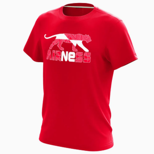 Customizable Cotton T-Shirts for Men and Women - Bulk Orders